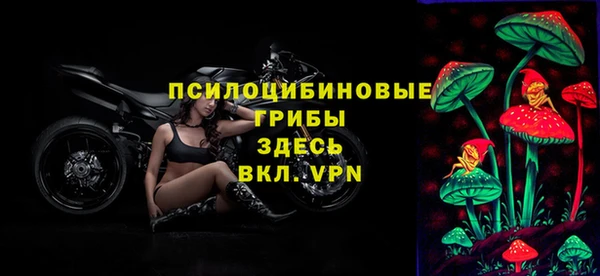 гидра Балабаново