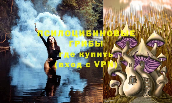 прущая мука Балахна