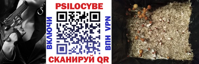 Псилоцибиновые грибы мицелий  где купить наркоту  Струнино 